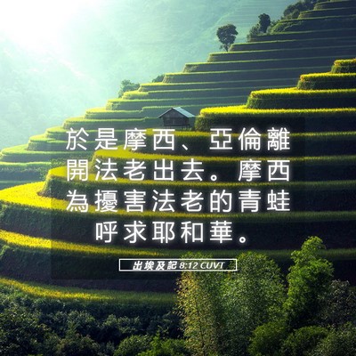 Picture 05 - 出 埃 及 記 8:12 CUVT - 於 是 摩 西 、 亞 倫 離 開 法 老 出 - Bible Verse Picture