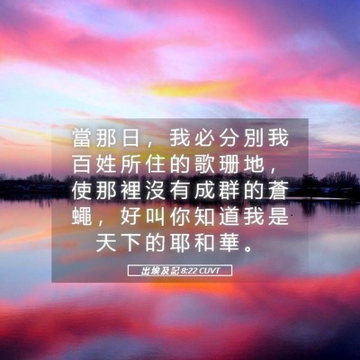 Picture 05 - 出 埃 及 記 8:22 CUVT - 當 那 日 ， 我 必 分 別 我 百 姓 所 - Bible Verse Picture