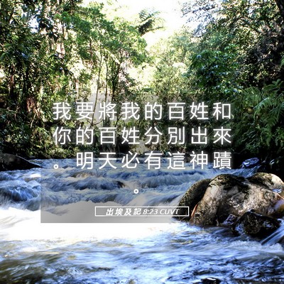Picture 05 - 出 埃 及 記 8:23 CUVT - 我 要 將 我 的 百 姓 和 你 的 百 姓 - Bible Verse Picture
