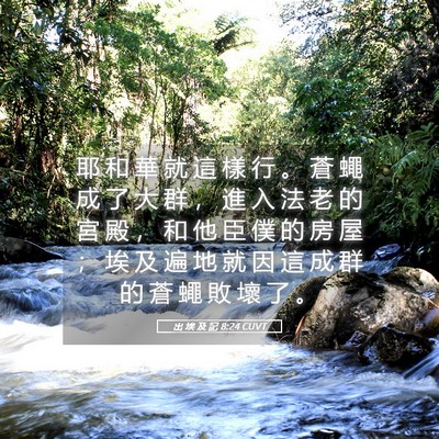 Picture 05 - 出 埃 及 記 8:24 CUVT - 耶 和 華 就 這 樣 行 。 蒼 蠅 成 了 - Bible Verse Picture