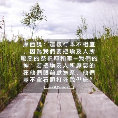 Picture 05 - 出 埃 及 記 8:26 CUVT - 摩 西 說 ： 這 樣 行 本 不 相 宜 ， - Bible Verse Picture