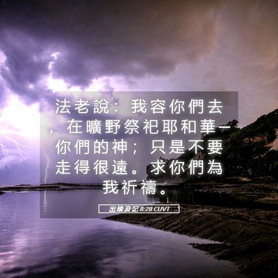 Picture 05 - 出 埃 及 記 8:28 CUVT - 法 老 說 ： 我 容 你 們 去 ， 在 曠 - Bible Verse Picture