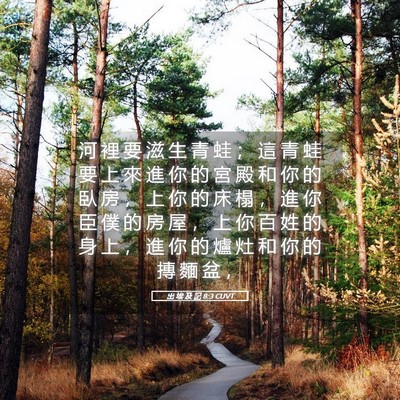 Picture 05 - 出 埃 及 記 8:3 CUVT - 河 裡 要 滋 生 青 蛙 ； 這 青 蛙 要 - Bible Verse Picture