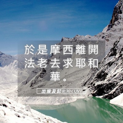 Picture 05 - 出 埃 及 記 8:30 CUVT - 於 是 摩 西 離 開 法 老 去 求 耶 和 - Bible Verse Picture