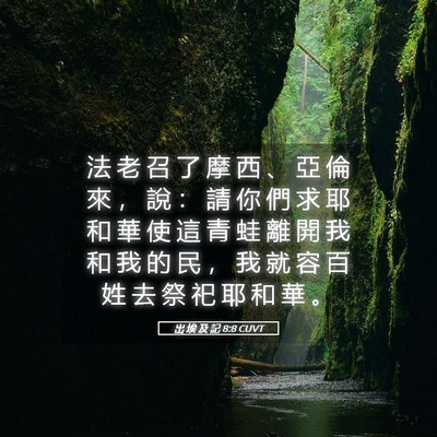 Picture 05 - 出 埃 及 記 8:8 CUVT - 法 老 召 了 摩 西 、 亞 倫 來 ， 說 - Bible Verse Picture