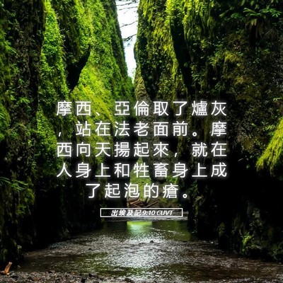 Picture 05 - 出 埃 及 記 9:10 CUVT - 摩 西 、 亞 倫 取 了 爐 灰 ， 站 在 - Bible Verse Picture
