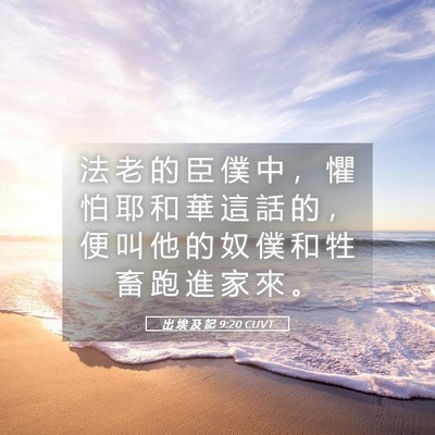Picture 05 - 出 埃 及 記 9:20 CUVT - 法 老 的 臣 僕 中 ， 懼 怕 耶 和 華 - Bible Verse Picture