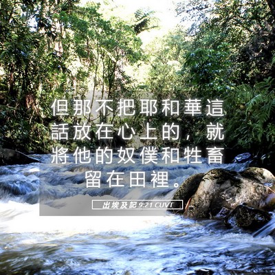 Picture 05 - 出 埃 及 記 9:21 CUVT - 但 那 不 把 耶 和 華 這 話 放 在 心 - Bible Verse Picture