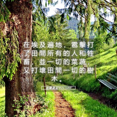 Picture 05 - 出 埃 及 記 9:25 CUVT - 在 埃 及 遍 地 ， 雹 擊 打 了 田 間 - Bible Verse Picture