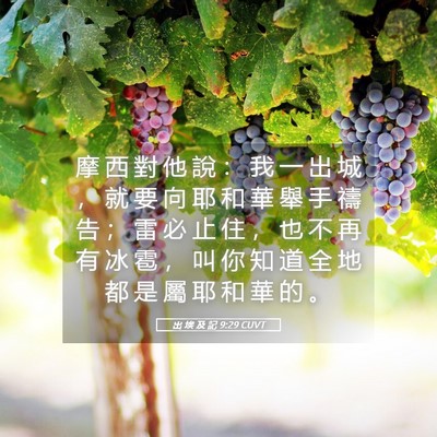 Picture 05 - 出 埃 及 記 9:29 CUVT - 摩 西 對 他 說 ： 我 一 出 城 ， 就 - Bible Verse Picture