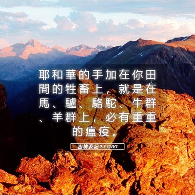 Picture 05 - 出 埃 及 記 9:3 CUVT - 耶 和 華 的 手 加 在 你 田 間 的 牲 - Bible Verse Picture