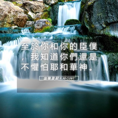 Picture 05 - 出 埃 及 記 9:30 CUVT - 至 於 你 和 你 的 臣 僕 ， 我 知 道 - Bible Verse Picture