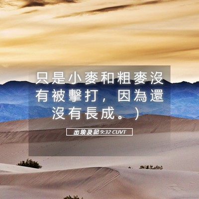 Picture 05 - 出 埃 及 記 9:32 CUVT - 只 是 小 麥 和 粗 麥 沒 有 被 擊 打 - Bible Verse Picture