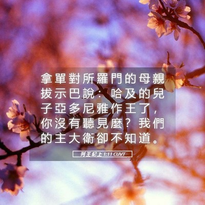 Picture 05 - 列 王 紀 上 1:11 CUVT - 拿 單 對 所 羅 門 的 母 親 拔 示 巴 - Bible Verse Picture