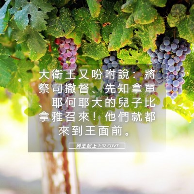 Picture 05 - 列 王 紀 上 1:32 CUVT - 大 衛 王 又 吩 咐 說 ： 將 祭 司 撒 - Bible Verse Picture