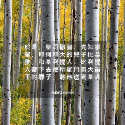 Picture 05 - 列 王 紀 上 1:38 CUVT - 於 是 ， 祭 司 撒 督 、 先 知 拿 單 - Bible Verse Picture