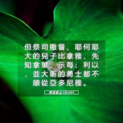 Picture 05 - 列 王 紀 上 1:8 CUVT - 但 祭 司 撒 督 、 耶 何 耶 大 的 兒 - Bible Verse Picture