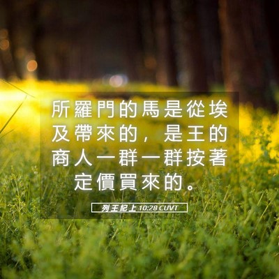 Picture 05 - 列 王 紀 上 10:28 CUVT - 所 羅 門 的 馬 是 從 埃 及 帶 來 的 - Bible Verse Picture