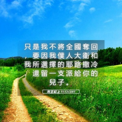 Picture 05 - 列 王 紀 上 11:13 CUVT - 只 是 我 不 將 全 國 奪 回 ， 要 因 - Bible Verse Picture