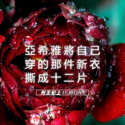 Picture 05 - 列 王 紀 上 11:30 CUVT - 亞 希 雅 將 自 己 穿 的 那 件 新 衣 - Bible Verse Picture