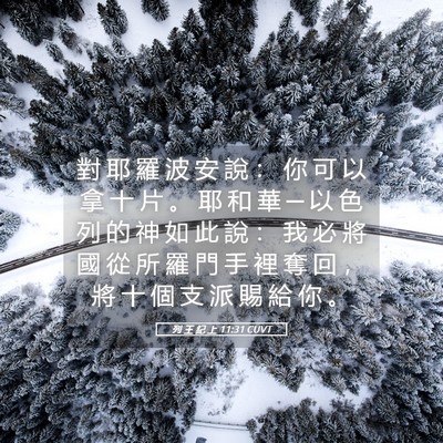 Picture 05 - 列 王 紀 上 11:31 CUVT - 對 耶 羅 波 安 說 ： 你 可 以 拿 十 - Bible Verse Picture
