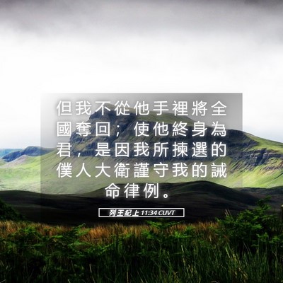 Picture 05 - 列 王 紀 上 11:34 CUVT - 但 我 不 從 他 手 裡 將 全 國 奪 回 - Bible Verse Picture