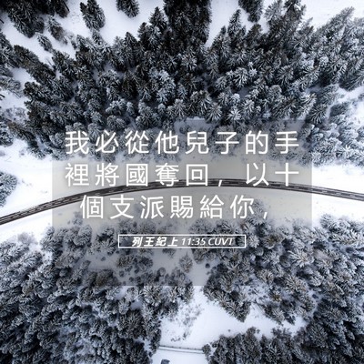 Picture 05 - 列 王 紀 上 11:35 CUVT - 我 必 從 他 兒 子 的 手 裡 將 國 奪 - Bible Verse Picture