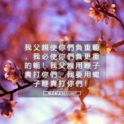 Picture 05 - 列 王 紀 上 12:11 CUVT - 我 父 親 使 你 們 負 重 軛 ， 我 必 - Bible Verse Picture