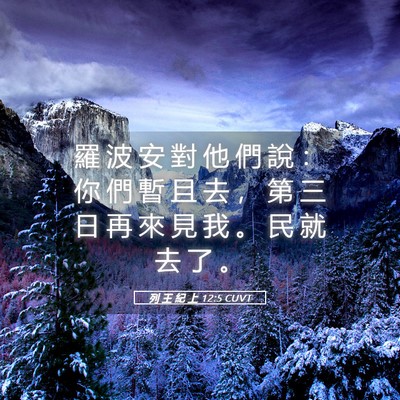 Picture 05 - 列 王 紀 上 12:5 CUVT - 羅 波 安 對 他 們 說 ： 你 們 暫 且 - Bible Verse Picture
