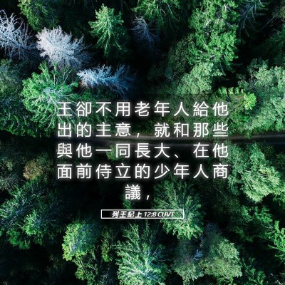 Picture 05 - 列 王 紀 上 12:8 CUVT - 王 卻 不 用 老 年 人 給 他 出 的 主 - Bible Verse Picture