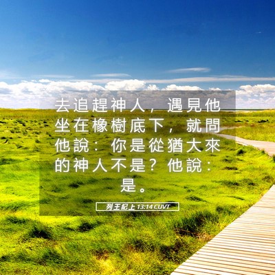 Picture 05 - 列 王 紀 上 13:14 CUVT - 去 追 趕 神 人 ， 遇 見 他 坐 在 橡 - Bible Verse Picture