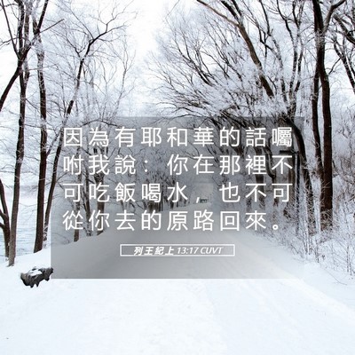 Picture 05 - 列 王 紀 上 13:17 CUVT - 因 為 有 耶 和 華 的 話 囑 咐 我 說 - Bible Verse Picture