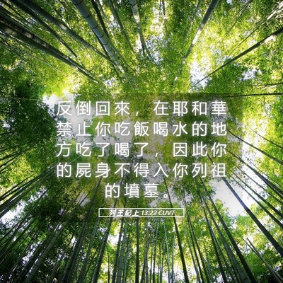 Picture 05 - 列 王 紀 上 13:22 CUVT - 反 倒 回 來 ， 在 耶 和 華 禁 止 你 - Bible Verse Picture