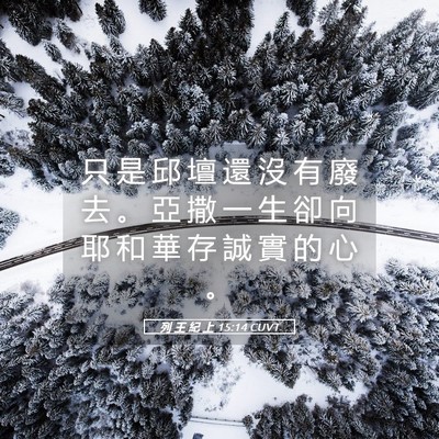 Picture 05 - 列 王 紀 上 15:14 CUVT - 只 是 邱 壇 還 沒 有 廢 去 。 亞 撒 - Bible Verse Picture