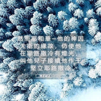 Picture 05 - 列 王 紀 上 15:4 CUVT - 然 而 耶 和 華 ─ 他 的 神 因 大 衛 - Bible Verse Picture