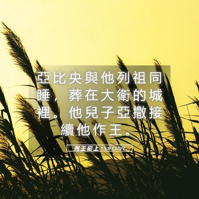 Picture 05 - 列 王 紀 上 15:8 CUVT - 亞 比 央 與 他 列 祖 同 睡 ， 葬 在 - Bible Verse Picture