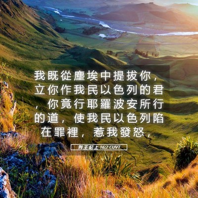 Picture 05 - 列 王 紀 上 16:2 CUVT - 我 既 從 塵 埃 中 提 拔 你 ， 立 你 - Bible Verse Picture