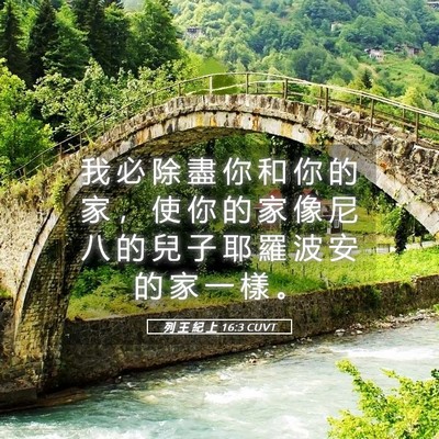 Picture 05 - 列 王 紀 上 16:3 CUVT - 我 必 除 盡 你 和 你 的 家 ， 使 你 - Bible Verse Picture