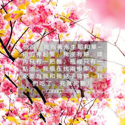 Picture 05 - 列 王 紀 上 17:12 CUVT - 他 說 ： 我 指 著 永 生 耶 和 華 ─ - Bible Verse Picture