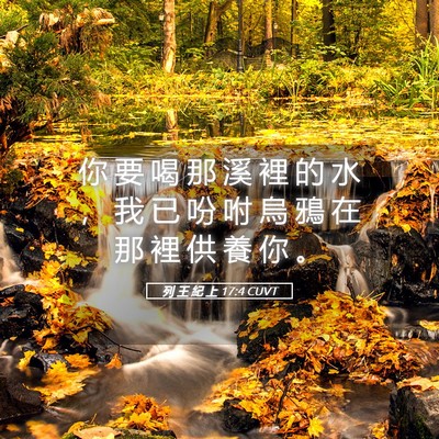 Picture 05 - 列 王 紀 上 17:4 CUVT - 你 要 喝 那 溪 裡 的 水 ， 我 已 吩 - Bible Verse Picture
