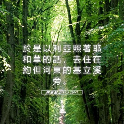 Picture 05 - 列 王 紀 上 17:5 CUVT - 於 是 以 利 亞 照 著 耶 和 華 的 話 - Bible Verse Picture