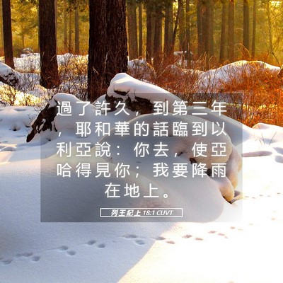 Picture 05 - 列 王 紀 上 18:1 CUVT - 過 了 許 久 ， 到 第 三 年 ， 耶 和 - Bible Verse Picture