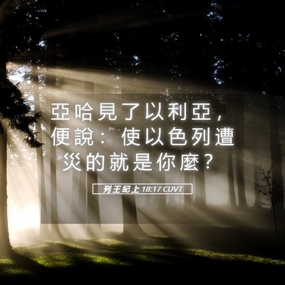 Picture 05 - 列 王 紀 上 18:17 CUVT - 亞 哈 見 了 以 利 亞 ， 便 說 ： 使 - Bible Verse Picture