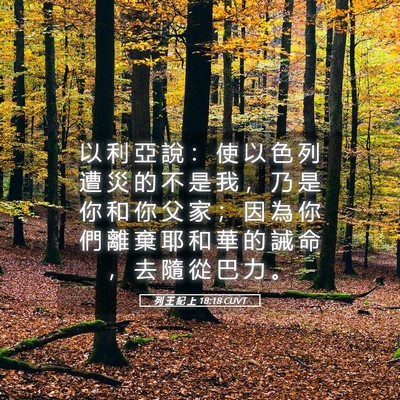 Picture 05 - 列 王 紀 上 18:18 CUVT - 以 利 亞 說 ： 使 以 色 列 遭 災 的 - Bible Verse Picture