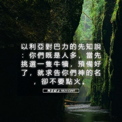Picture 05 - 列 王 紀 上 18:25 CUVT - 以 利 亞 對 巴 力 的 先 知 說 ： 你 - Bible Verse Picture