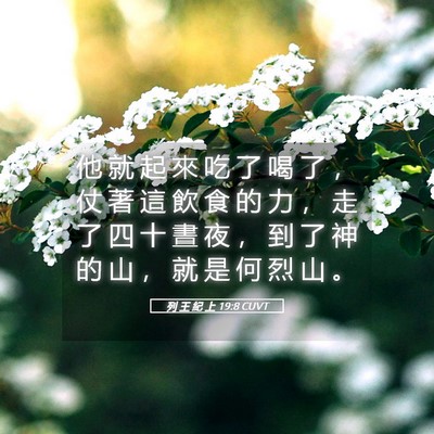Picture 05 - 列 王 紀 上 19:8 CUVT - 他 就 起 來 吃 了 喝 了 ， 仗 著 這 - Bible Verse Picture