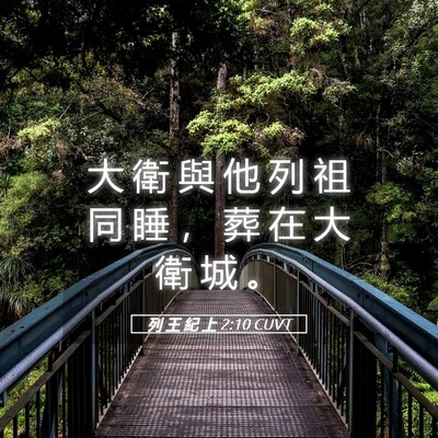 Picture 05 - 列 王 紀 上 2:10 CUVT - 大 衛 與 他 列 祖 同 睡 ， 葬 在 大 - Bible Verse Picture