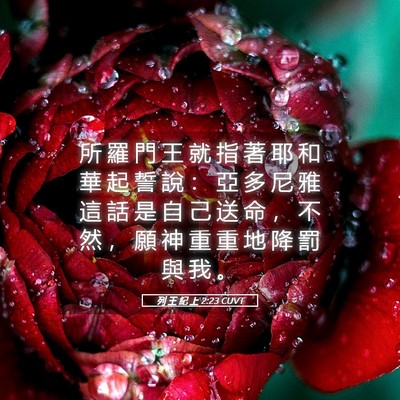 Picture 05 - 列 王 紀 上 2:23 CUVT - 所 羅 門 王 就 指 著 耶 和 華 起 誓 - Bible Verse Picture
