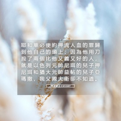 Picture 05 - 列 王 紀 上 2:32 CUVT - 耶 和 華 必 使 約 押 流 人 血 的 罪 - Bible Verse Picture