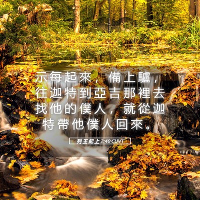 Picture 05 - 列 王 紀 上 2:40 CUVT - 示 每 起 來 ， 備 上 驢 ， 往 迦 特 - Bible Verse Picture